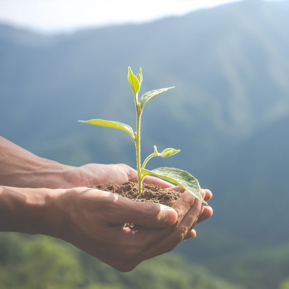 Okolju in zdravju prijazen